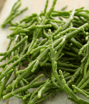 Samphire - Vegetables that Start with S