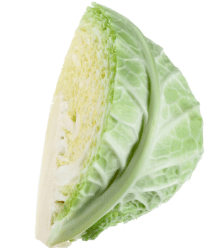 Savoy Cabbage - Vegetables that Start with S