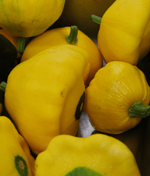 Scallop Squash - Vegetables that Start with S