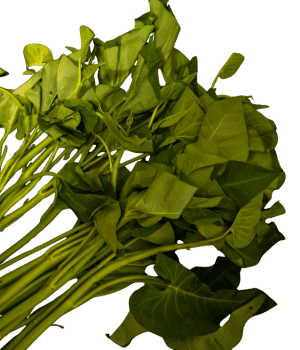 Sea Spinach - Vegetable Names that Begin with S