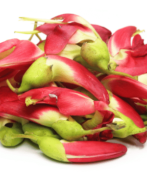 Sesbania Flowers - Vegetable Names that Begin with S