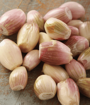 Shallot - Bulb Vegetables and their Pictures