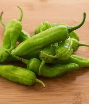 Shishito Pepper - Vegetables that Start with S
