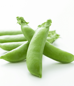 Snap Pea