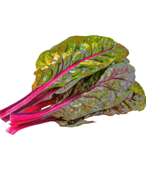 Swiss Chard Stems
