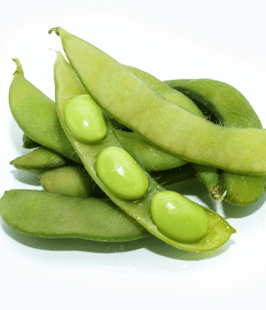 Tarwi Bean - Vegetable Names that Begin with T