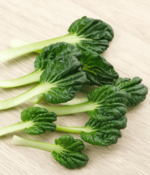 Tatsoi - Vegetable Names that Begin with T
