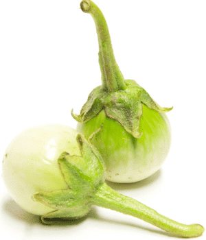 Thai Eggplant - Vegetable Names that Begin with T