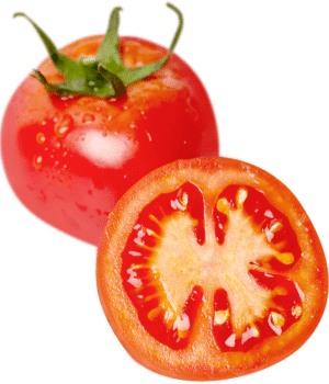 Tomato - Vegetables that start with T