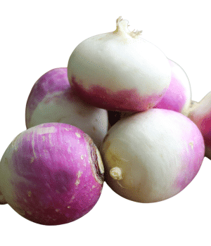 Turnip - Vegetable that Grow Underground