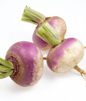 Turnip