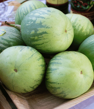 Udupi Mattu Gulla Eggplant - Vegetables that Start with U