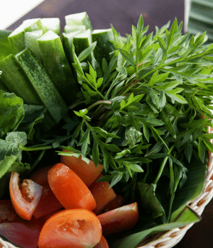 Ulam Gunung