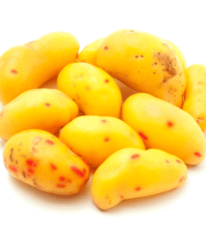 Ulluco - Vegetables that Start with U