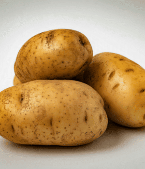 Umatilla Russet Potato