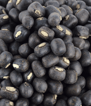 Urad Bean - Vegetables that Start with U