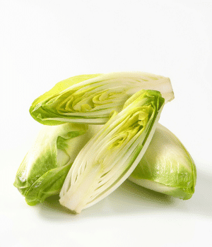 Variegated Endive - Vegetables that Start with V