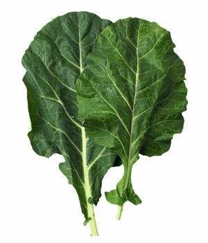 Vates Collard - Vegetables that Start with V