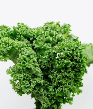 Vates Kale - Vegetables that Start with V