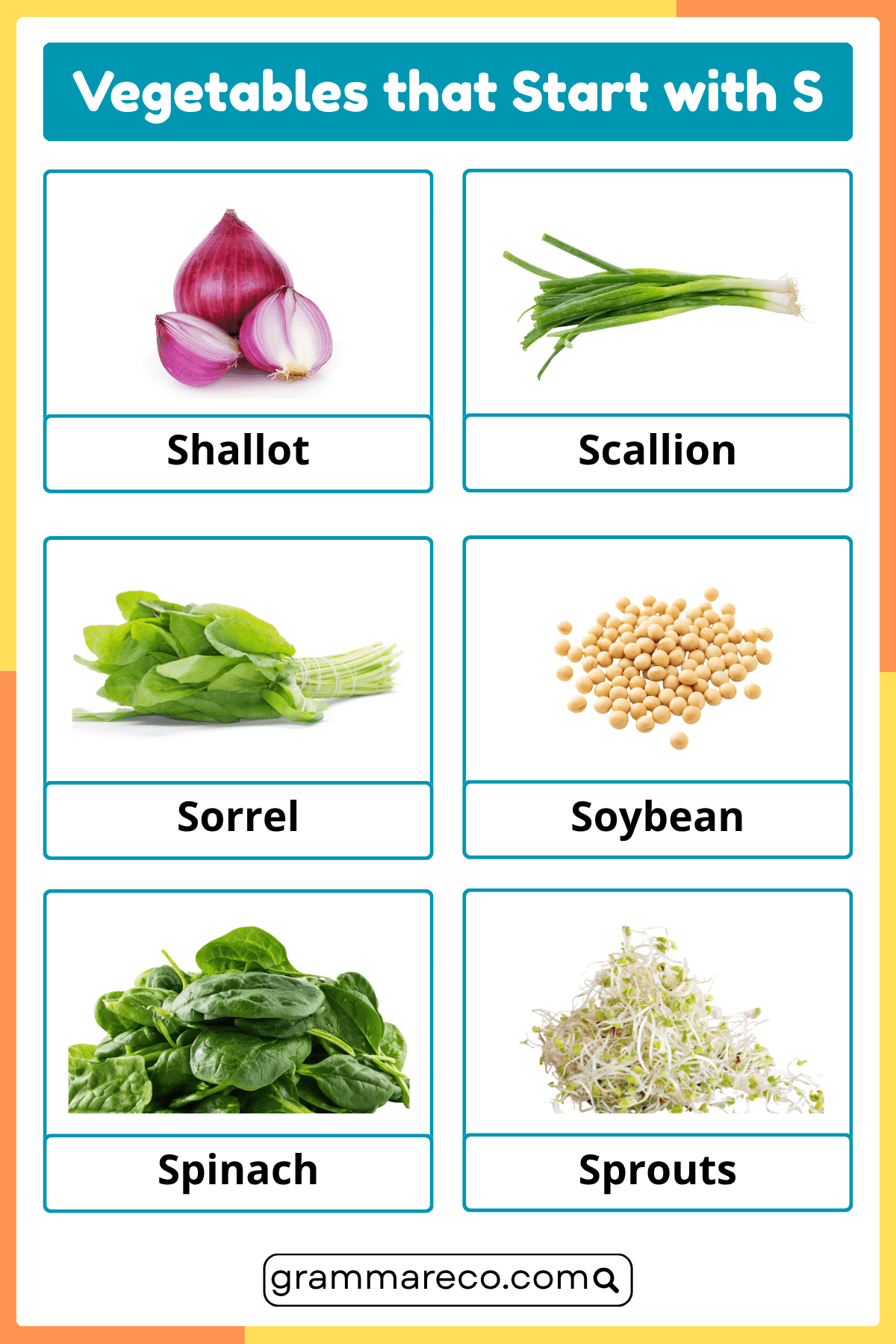 Vegetable Starting With S