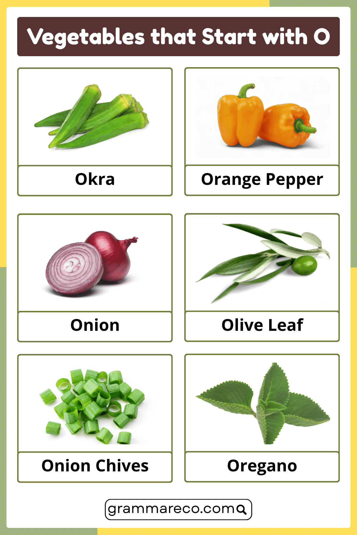 Vegetable That Starts With O