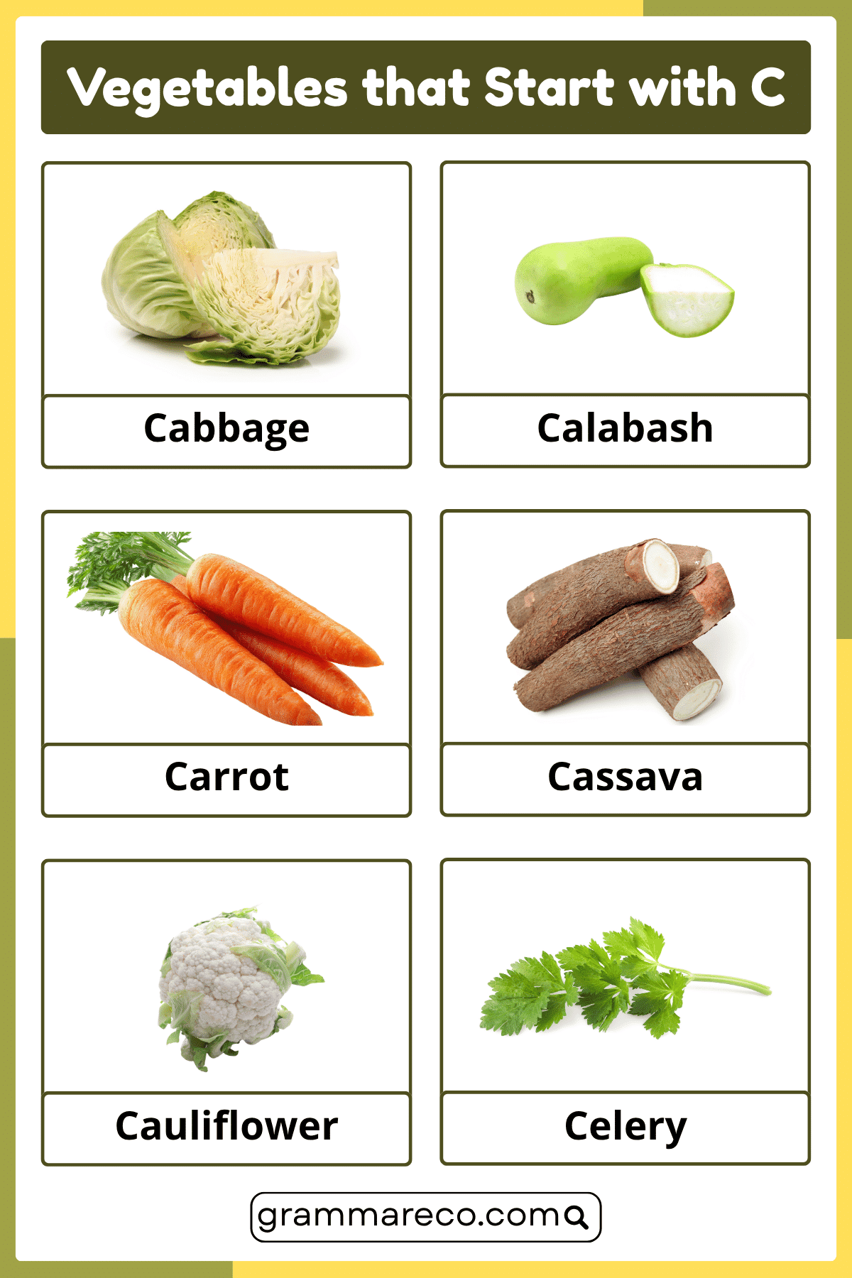 Vegetables Starting With C with Pictures