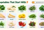 44+ Vegetables that Start with P: List With Pictures and Names