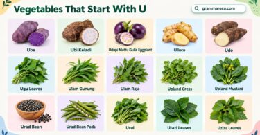Vegetables That Start With U - 25 U-Named Veggies With Pictures