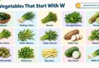 Vegetables That Start With W: 23+ Names, Facts and Pictures