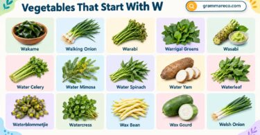 Vegetables That Start With W: 23+ Names, Facts and Pictures