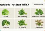 Vegetables That Start With X With Pictures