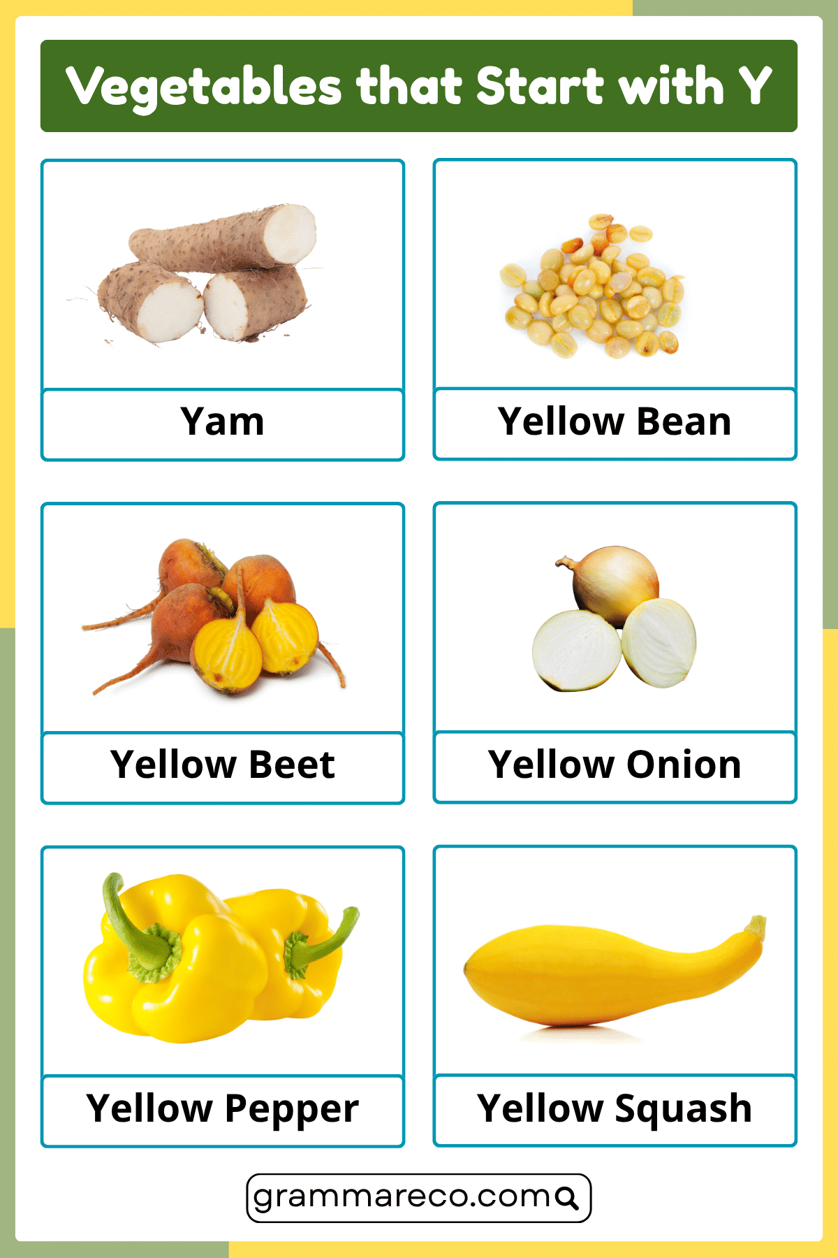 Vegetables That Start With Y - A to Z Vegetables