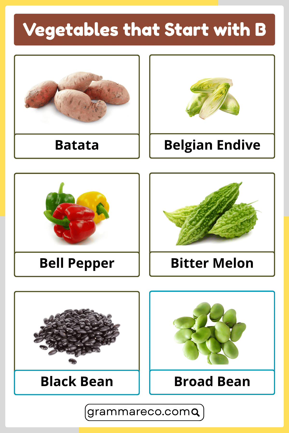 Vegetables that Start with B - A to Z Vegetables