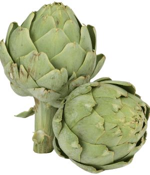 Venetian Artichoke - Vegetable Names Start with V