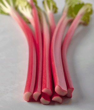 Victoria Rhubarb - Vegetable Names Start with V