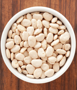 Virginia Butter Bean