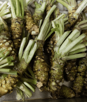 Wasabi - Vegetables that Start With W