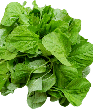 Water Spinach - Vegetables that Start With W