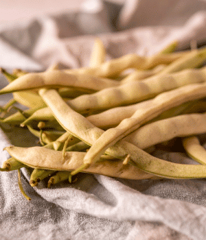 Wax Bean