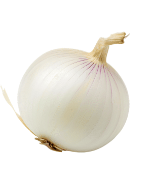 White Onion - Bulb Vegetables and their Pictures