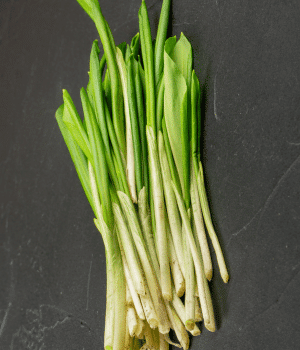 Wild Garlic
