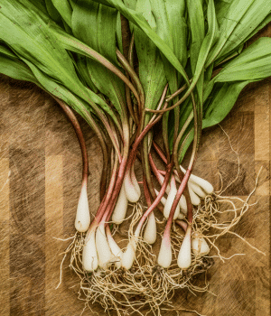 Wild Leek - Vegetable Names that Start With W