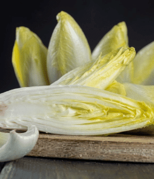 Witloof - Vegetable Names that Start With W
