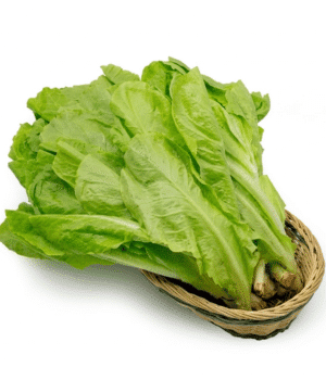 Xà Lách - Vegetables that Start with X