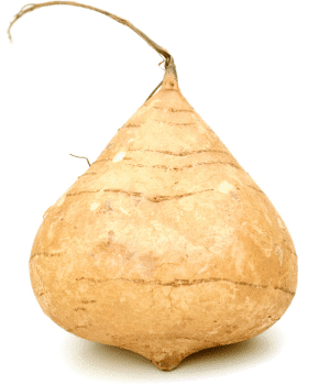 Yam Bean - Vegetable Names that Begin with Y