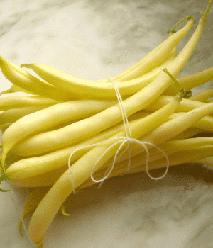 Yellow Bean - Vegetable Names that Begin with Y