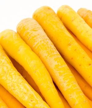 Yellow Carrot - Vegetable Names that Begin with Y