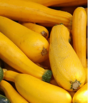 Yellow Cucumber - Vegetables that start with Y