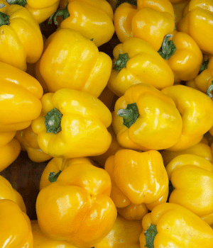 Yellow Pepper - Vegetables that start with Y