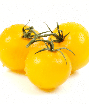 Yellow Tomato - Vegetables that start with Y